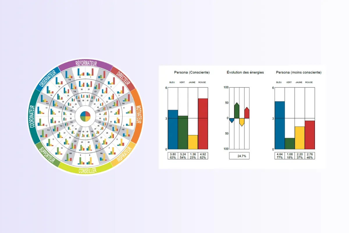 nous ne sommes pas représenté par une seule couleur avec l'insight, nous sommes tous un mélange des 4 couleurs