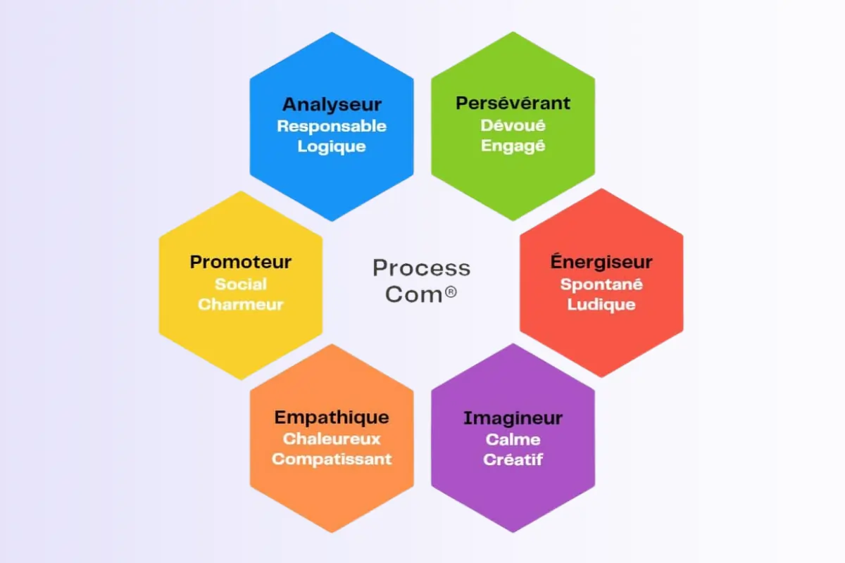 les 6 profils du test process comm